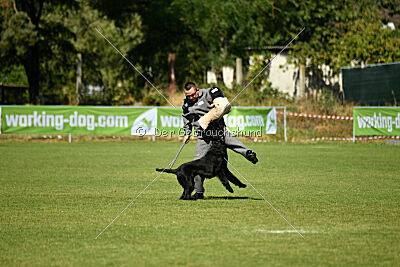 Dexx-Daemon vom Hatzbachtal