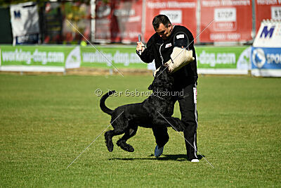 Dexx-Daemon vom Hatzbachtal