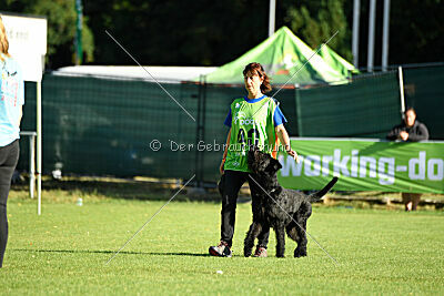 Dexx-Daemon vom Hatzbachtal