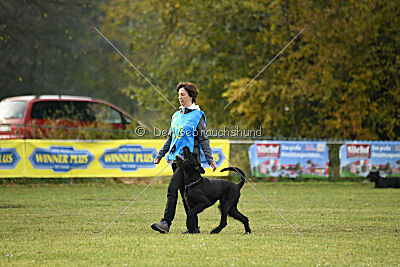 Dexx-Daemon vom Hatzbachtal