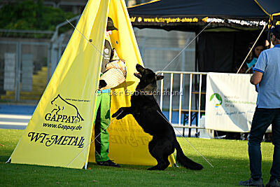 Dieter-Ludewig vom Argatos