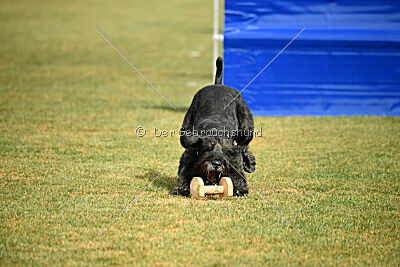 Dieter vom Feuertanz