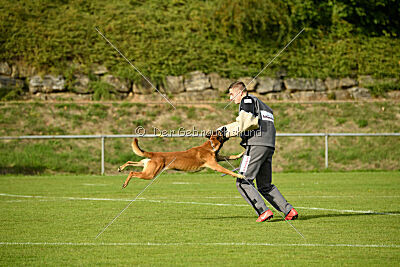 Digger vom Stockborn
