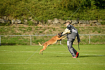 Digger vom Stockborn