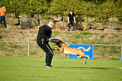 Digger vom Stockborn