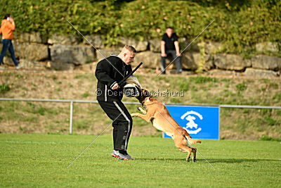 Digger vom Stockborn