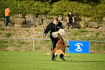 Digger vom Stockborn