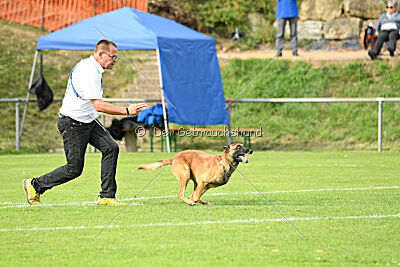 Digger vom Stockborn