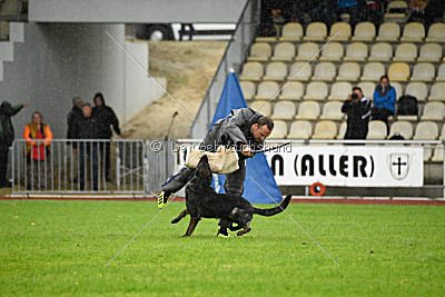 Dinoso vom Eisernen Kreuz