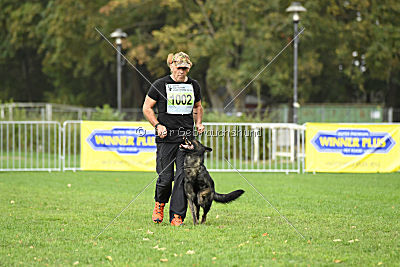 Dinoso vom Eisernen Kreuz