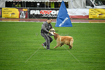 Djambo Grofje Celjski