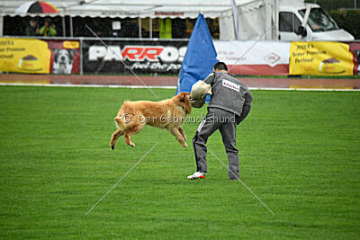 Djambo Grofje Celjski