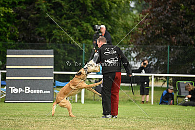 Doctor vom Hirtengarten