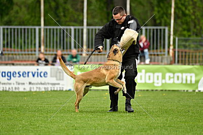 Doctor vom Hirtengarten