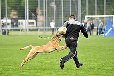 Doctor vom Hirtengarten