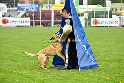 Doctor vom Hirtengarten