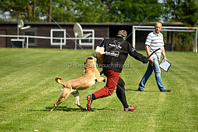 Doctor vom Hirtengarten
