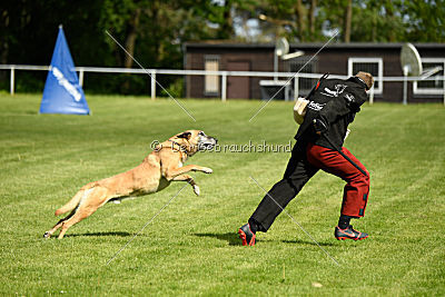 Doctor vom Hirtengarten
