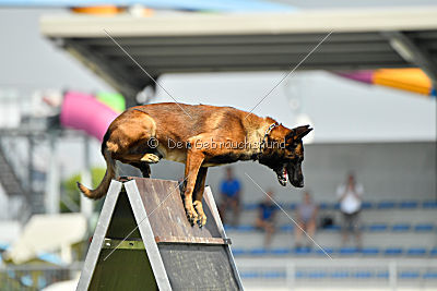 Dog John's Ikai