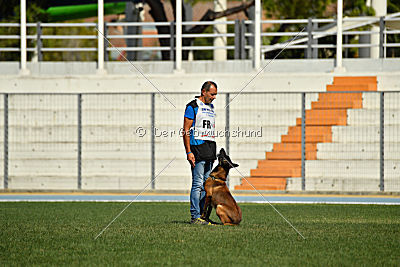 Dog John's Ikai