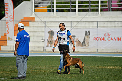 Dog John's Ikai