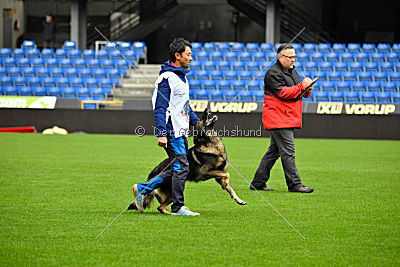 Dolf von S.K. Lieben