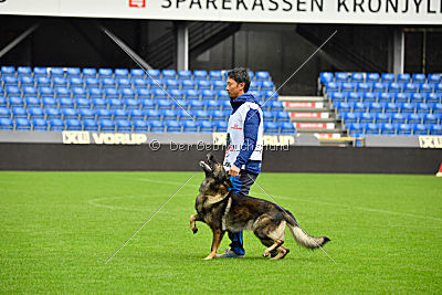 Dolf von S.K. Lieben