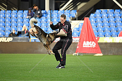 Dolf von S.K. Lieben