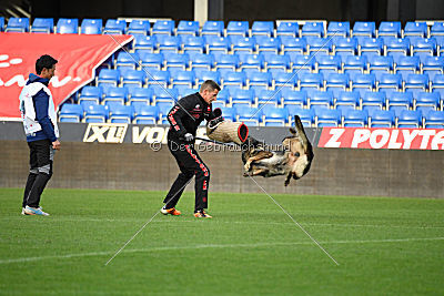 Dolf von S.K. Lieben