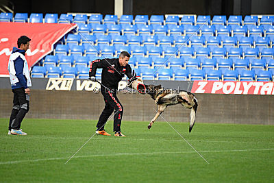 Dolf von S.K. Lieben