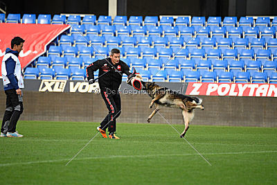 Dolf von S.K. Lieben