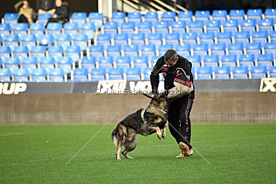 Dolf von S.K. Lieben