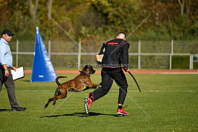 Don-Diego von Anmale