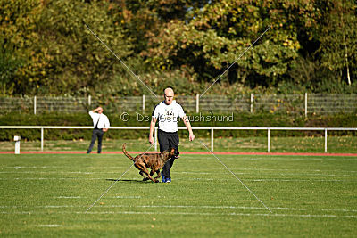 Don-Diego von Anmale