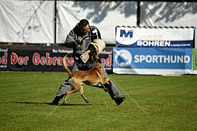 Donar Bestiaras