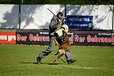 Donar Bestiaras