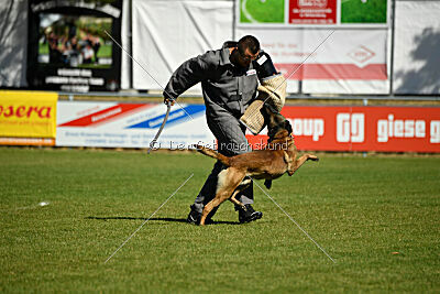 Donar Bestiaras