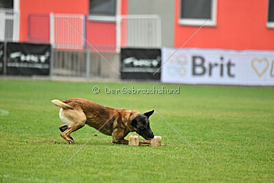 Donar Bestiaras