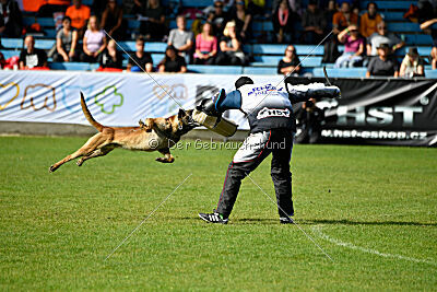 Donar Bestiaras