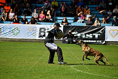 Donar Bestiaras