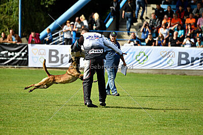 Donar Bestiaras