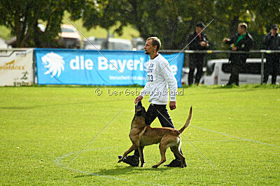 Donar Bestiaras
