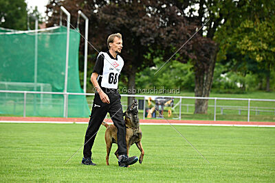 Donar Bestiaras