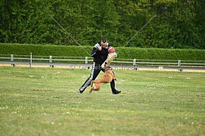 Don't touch vom Stockborn