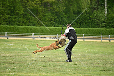 Don't touch vom Stockborn