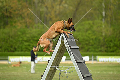 Don't touch vom Stockborn