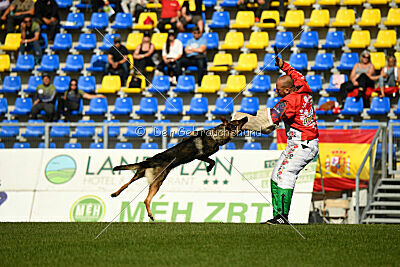 Dooly of Dog training