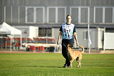 Dragonheart Gigi Marenberska