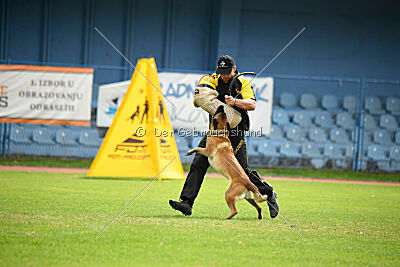 Dragonheart Gigi Marenberska