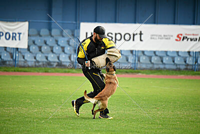 Dragonheart Gigi Marenberska